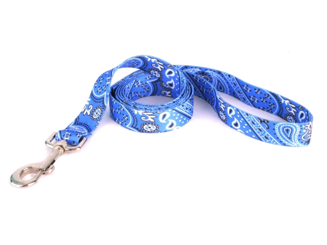 Bandana Blue Lead