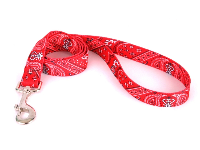 Bandana Red Lead