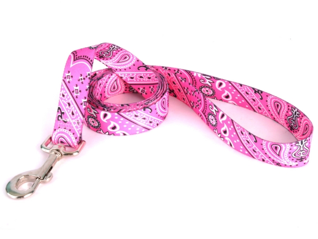 Bandana Pink Leash