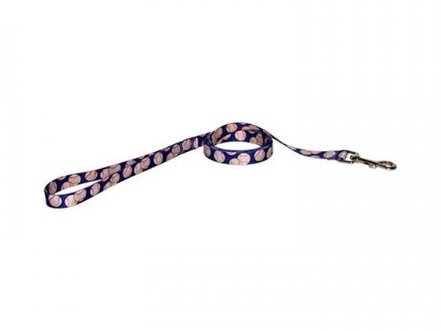 Baseballs Leash