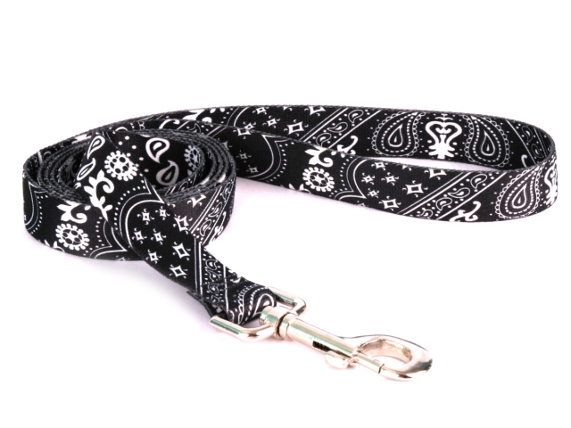 Black Bandana Leash