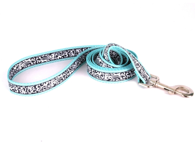 Chantilly Teal Leash