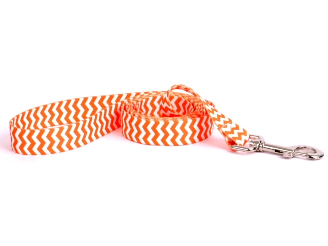 Chevron - Tangerine Leash