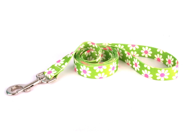 Green Daisy Leash