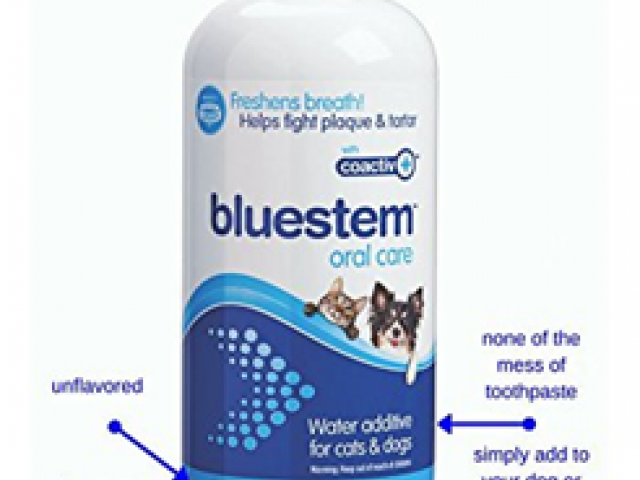 Blue Stem Dental Water Additive