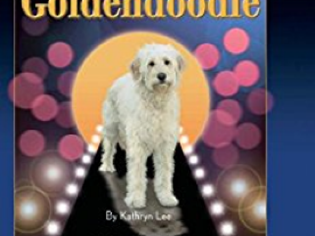 Heartland goldendoodle hot sale